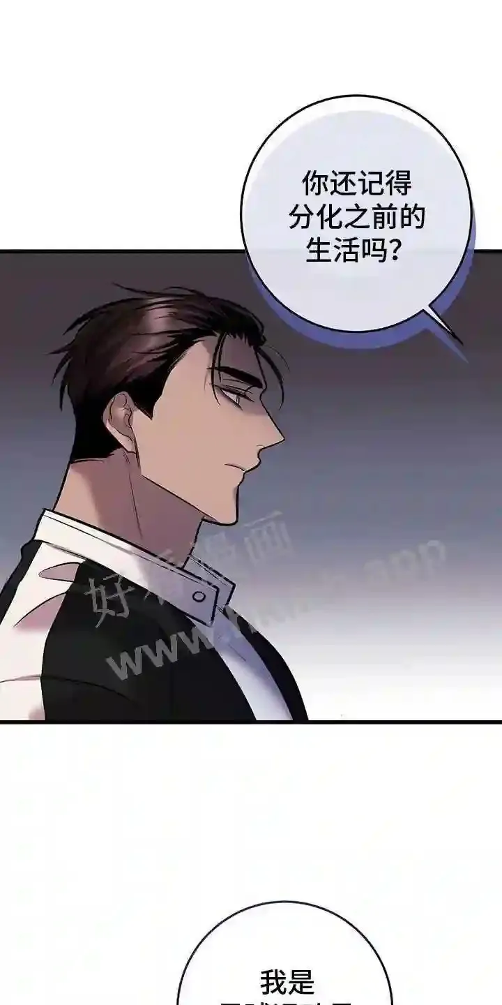 第84章:往事 第23页