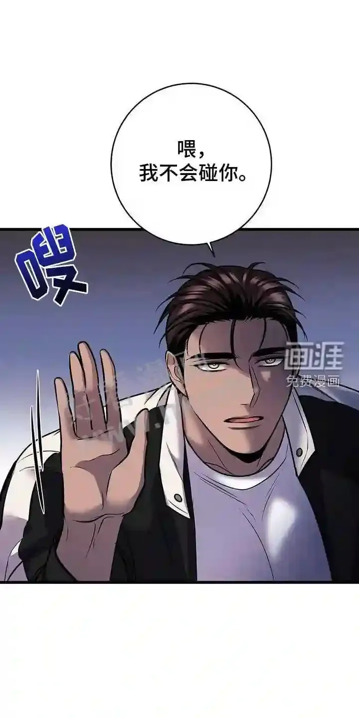 第85章:吸引 第6页