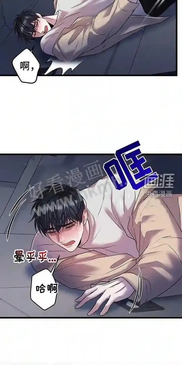 第86章:绑架 第2页