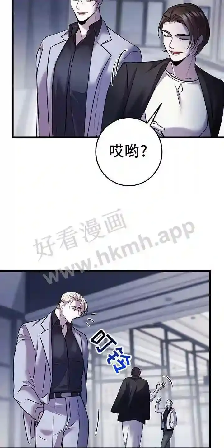 第87章:投票 第17页