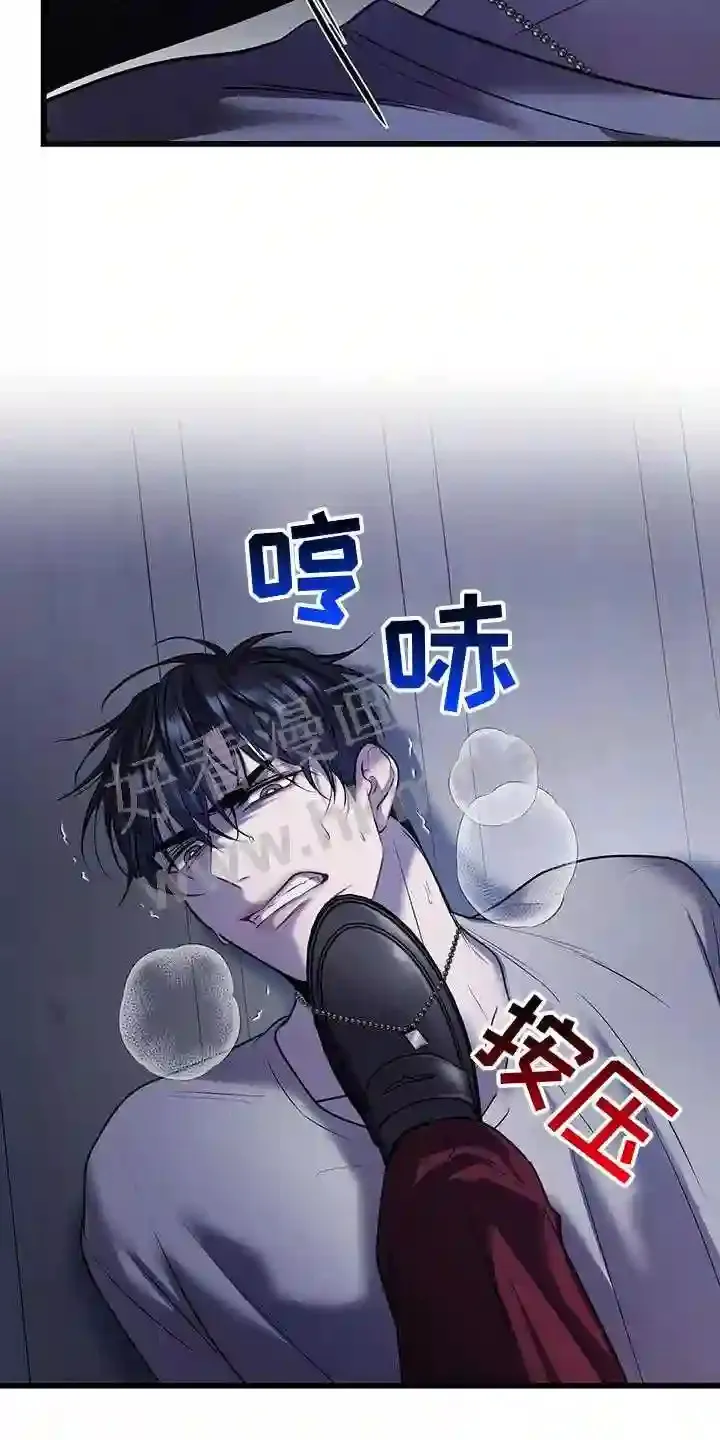 第88章:机会 第7页
