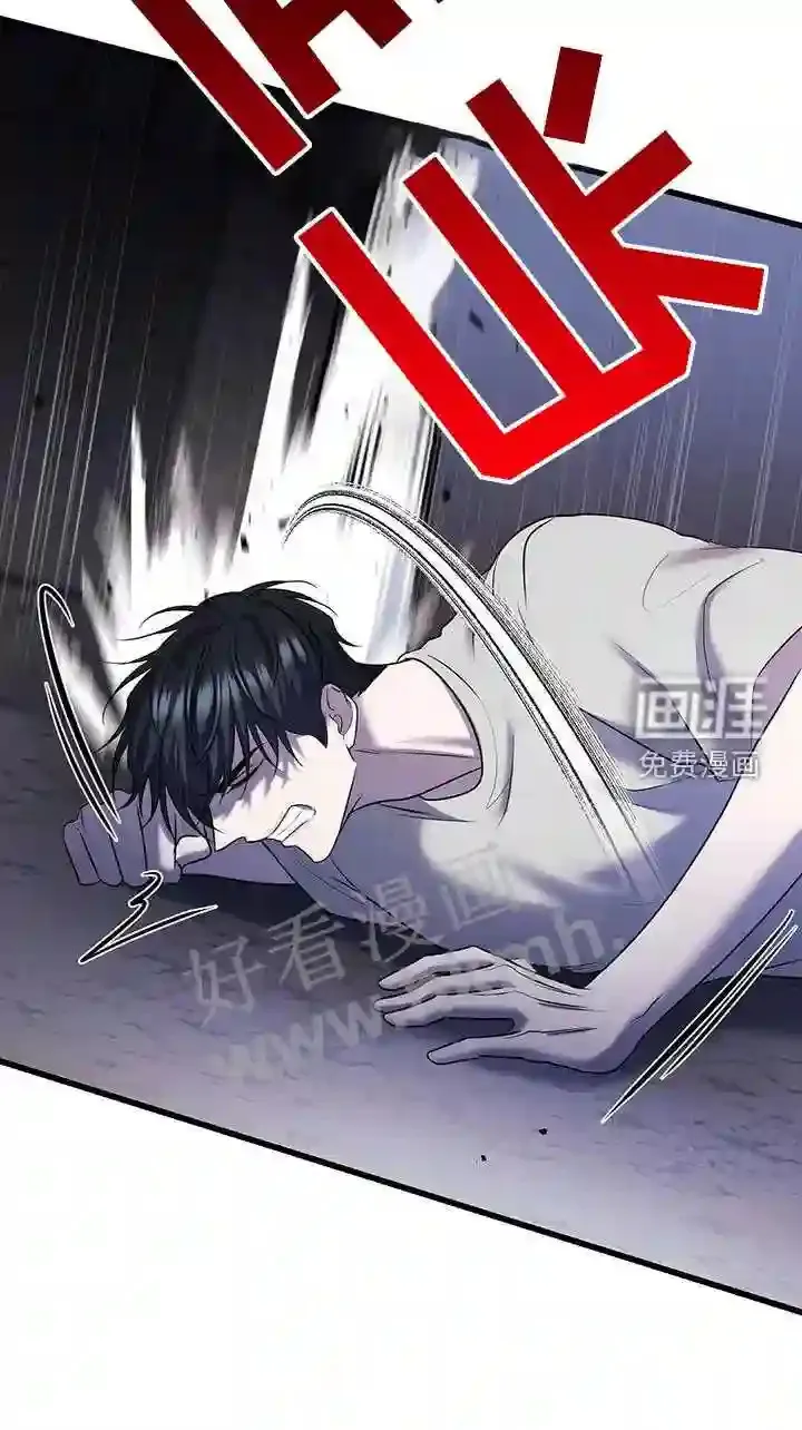 第96章:清醒 第12页