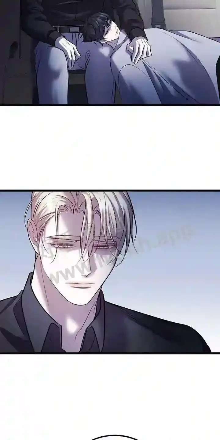 第99章:无法替代 第27页