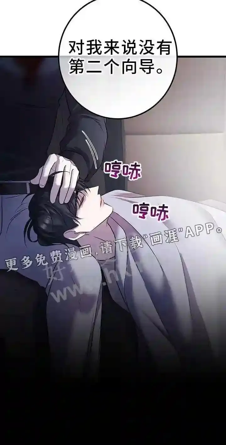 第99章:无法替代 第28页
