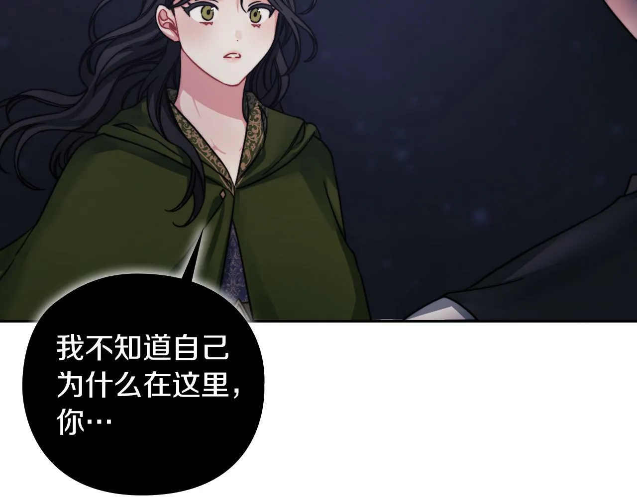 第29话 预言 第80页