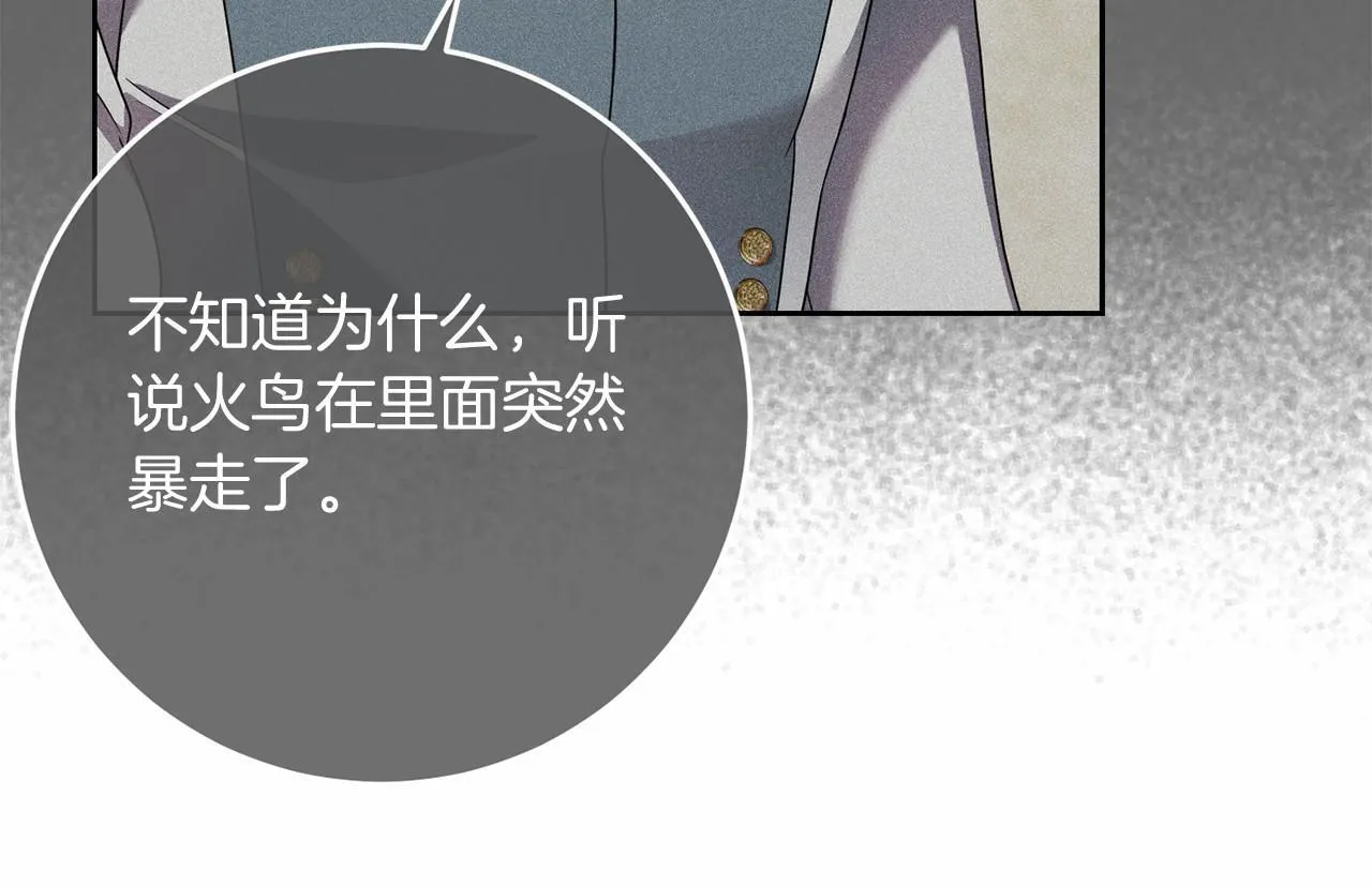 第77话 混乱的记忆 第152页