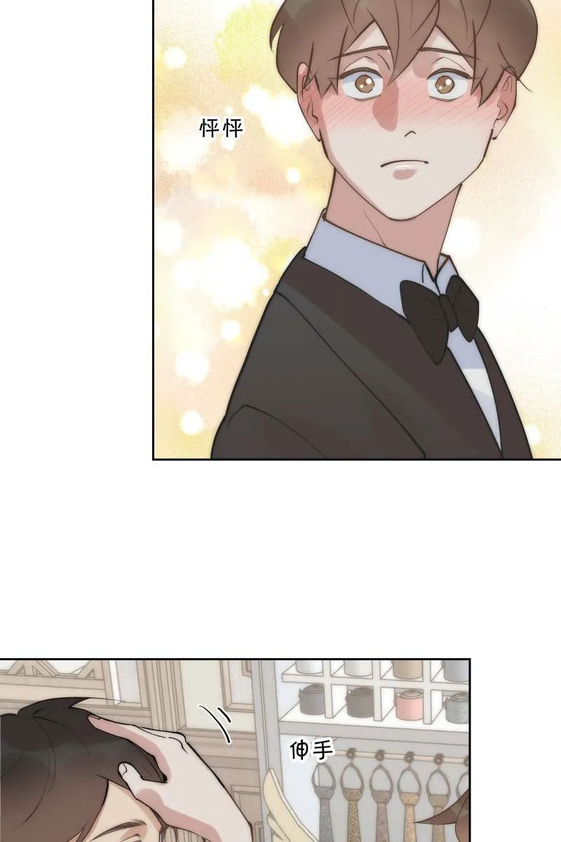 第52话 螳螂捕蝉 第3页