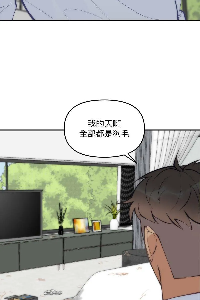 第62话 新员加入 第13页