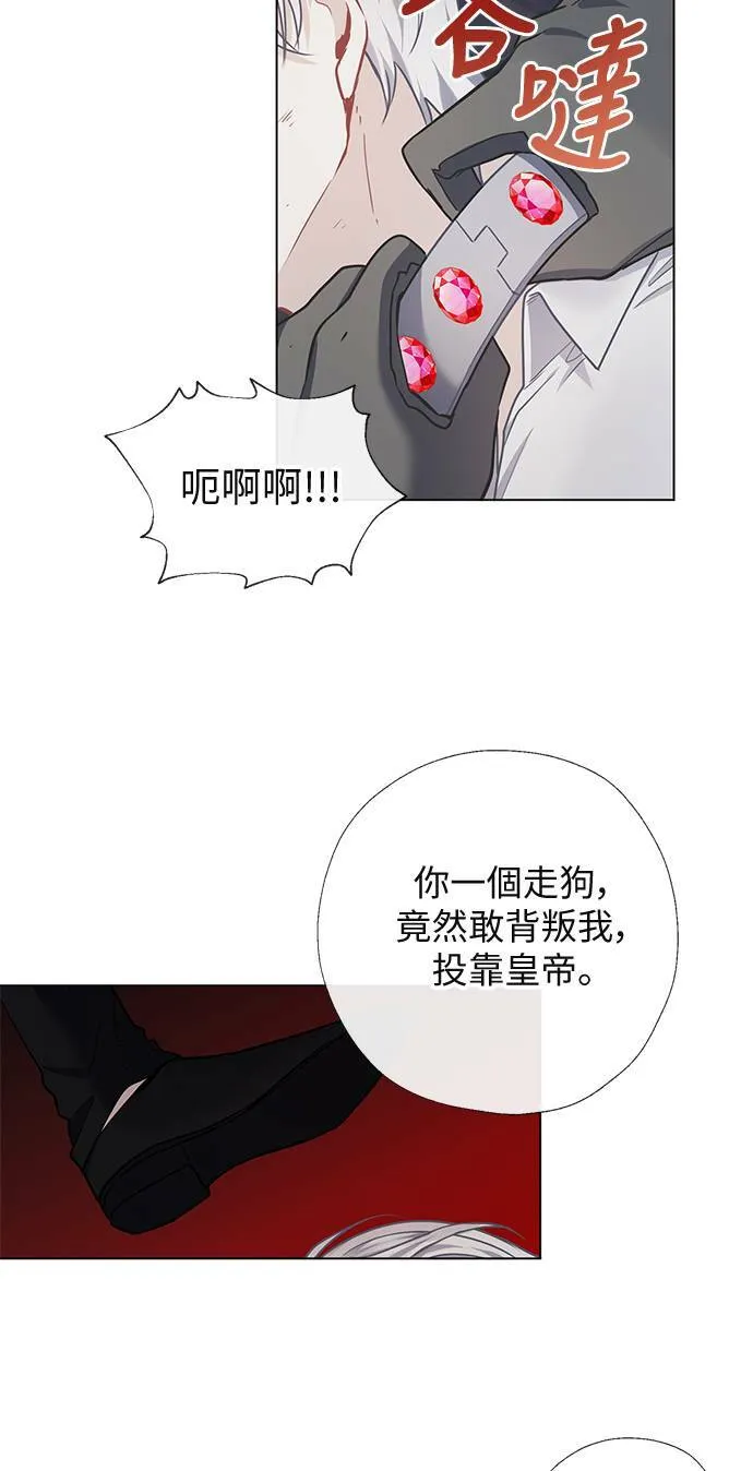 第66话 第7页