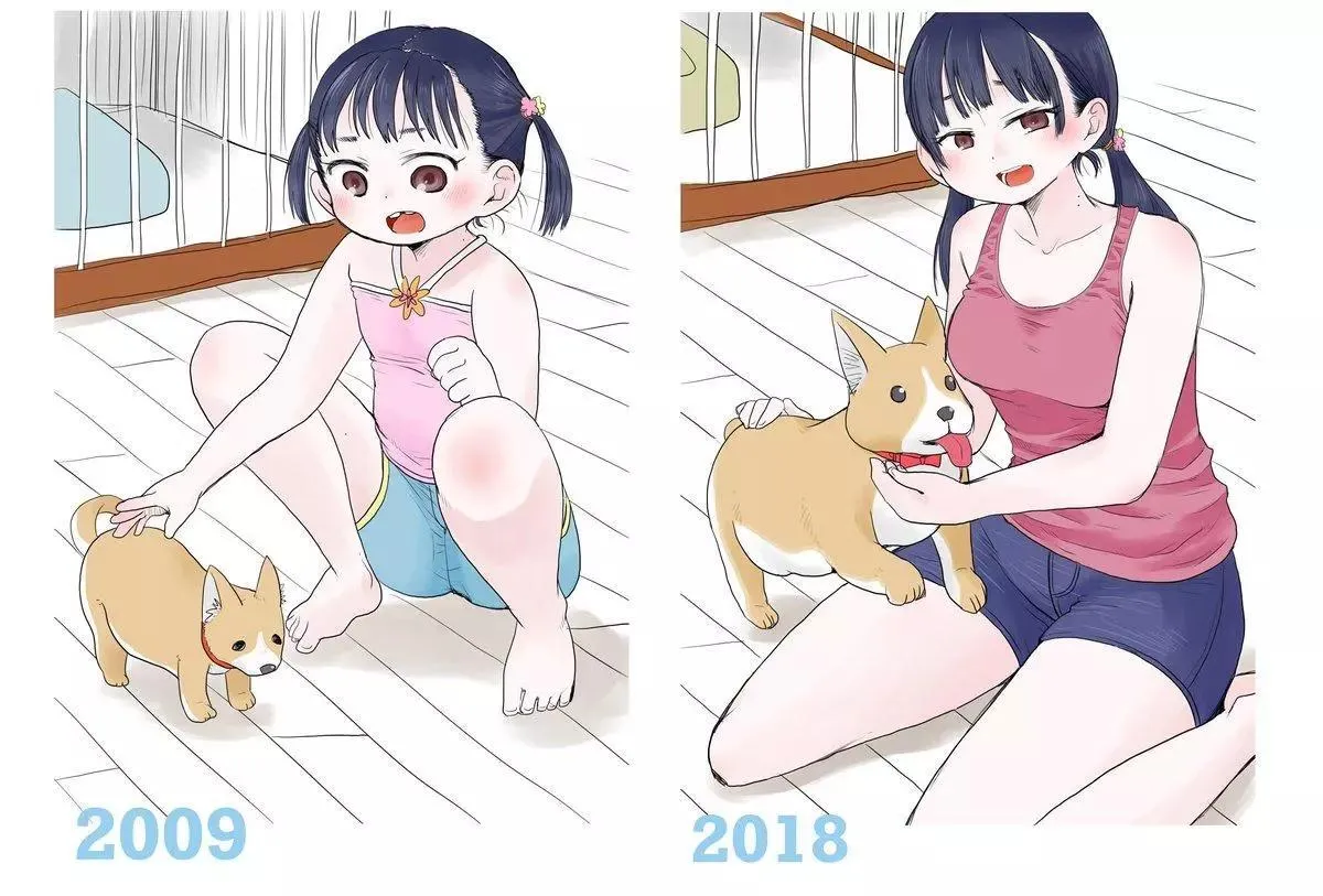 彩图 第39页