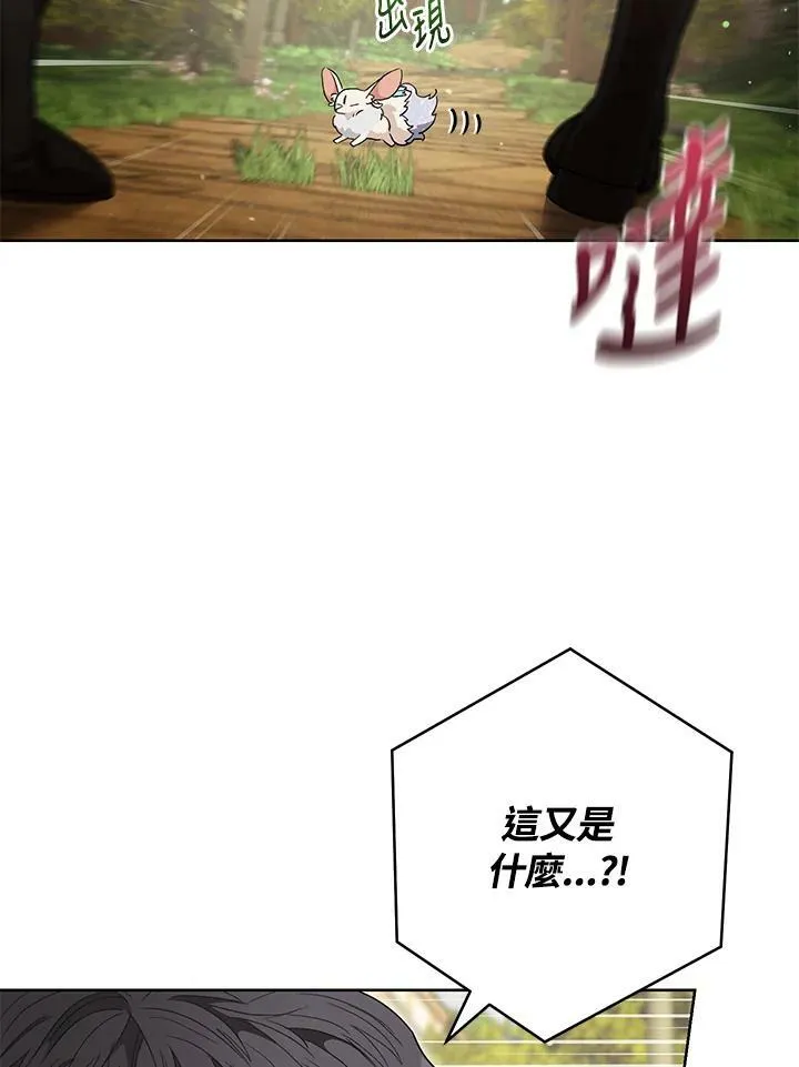 第67话 第80页