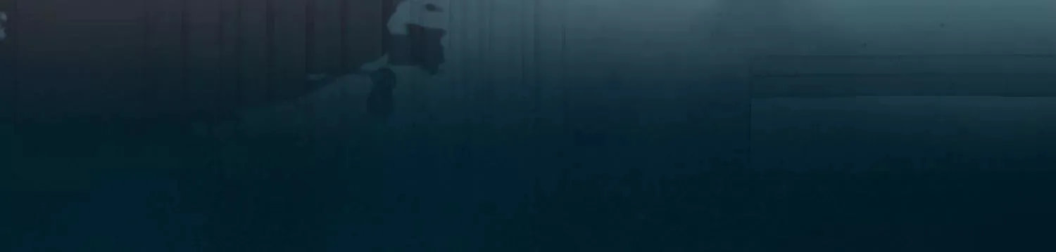 预告 第4页