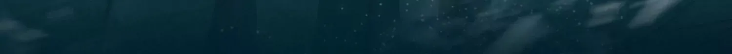 预告 第60页