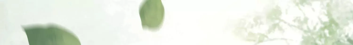 第53话 一切都是他自己决定 第39页