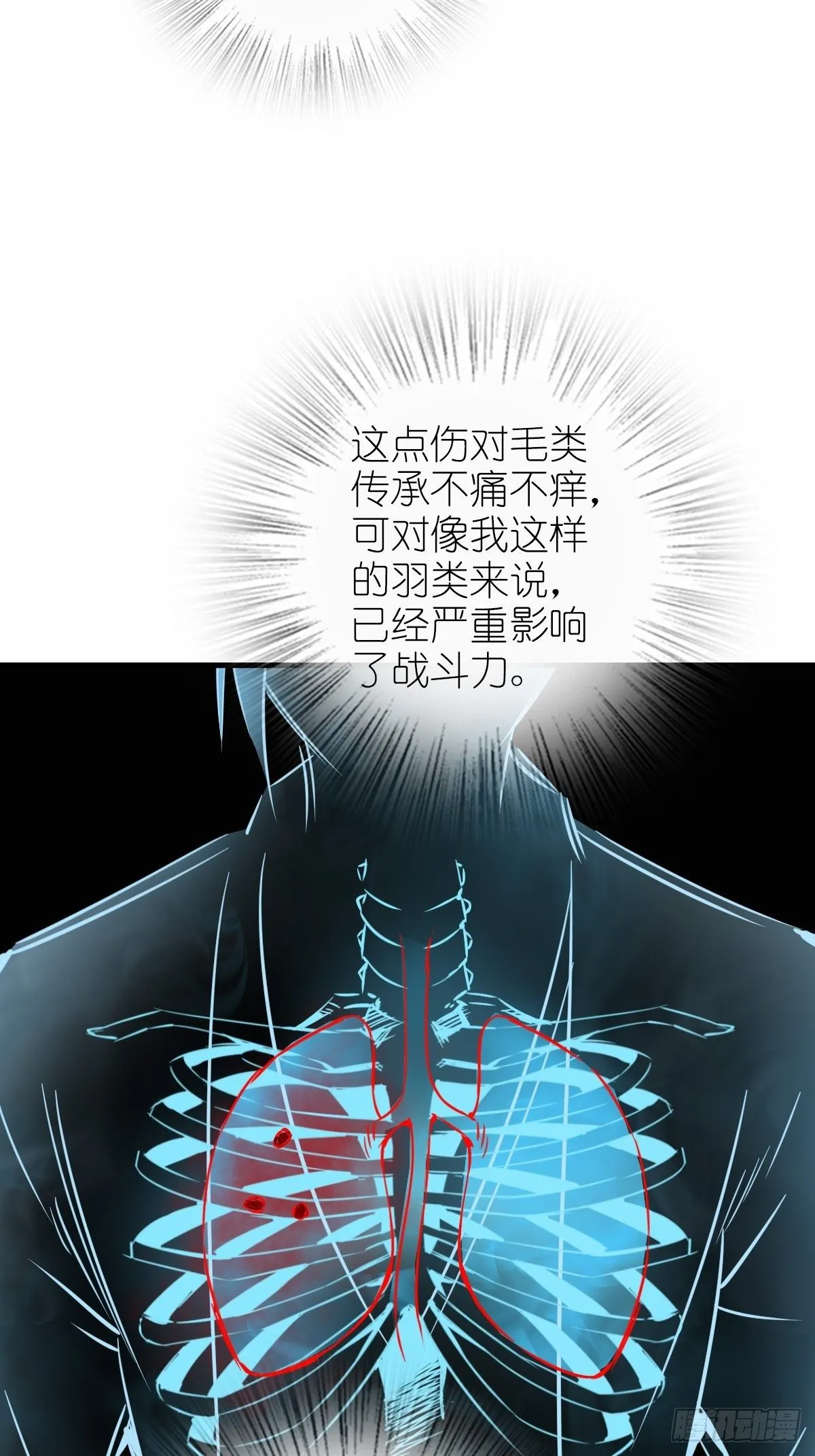 104 鹦鹉 第22页