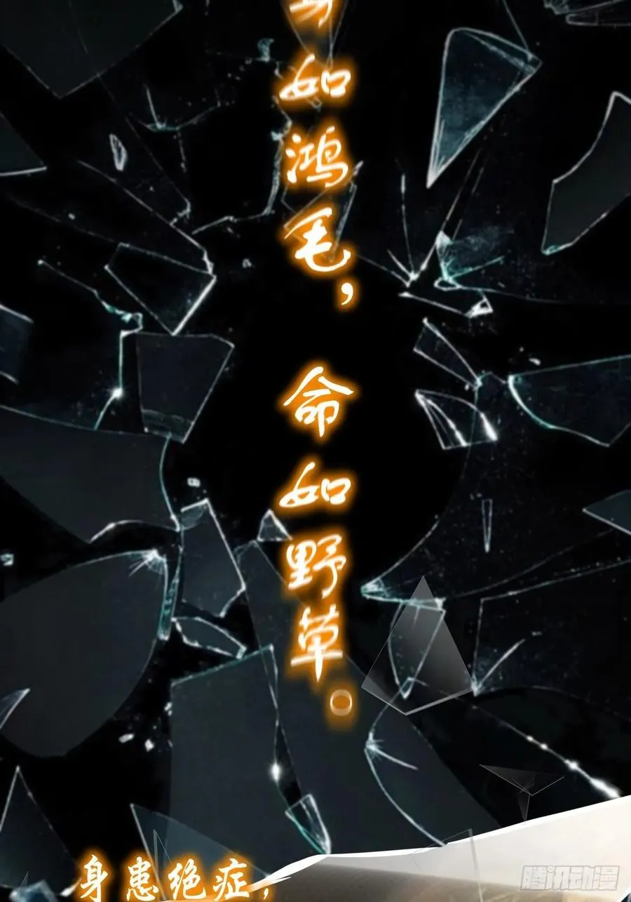 前情回顾 第2页
