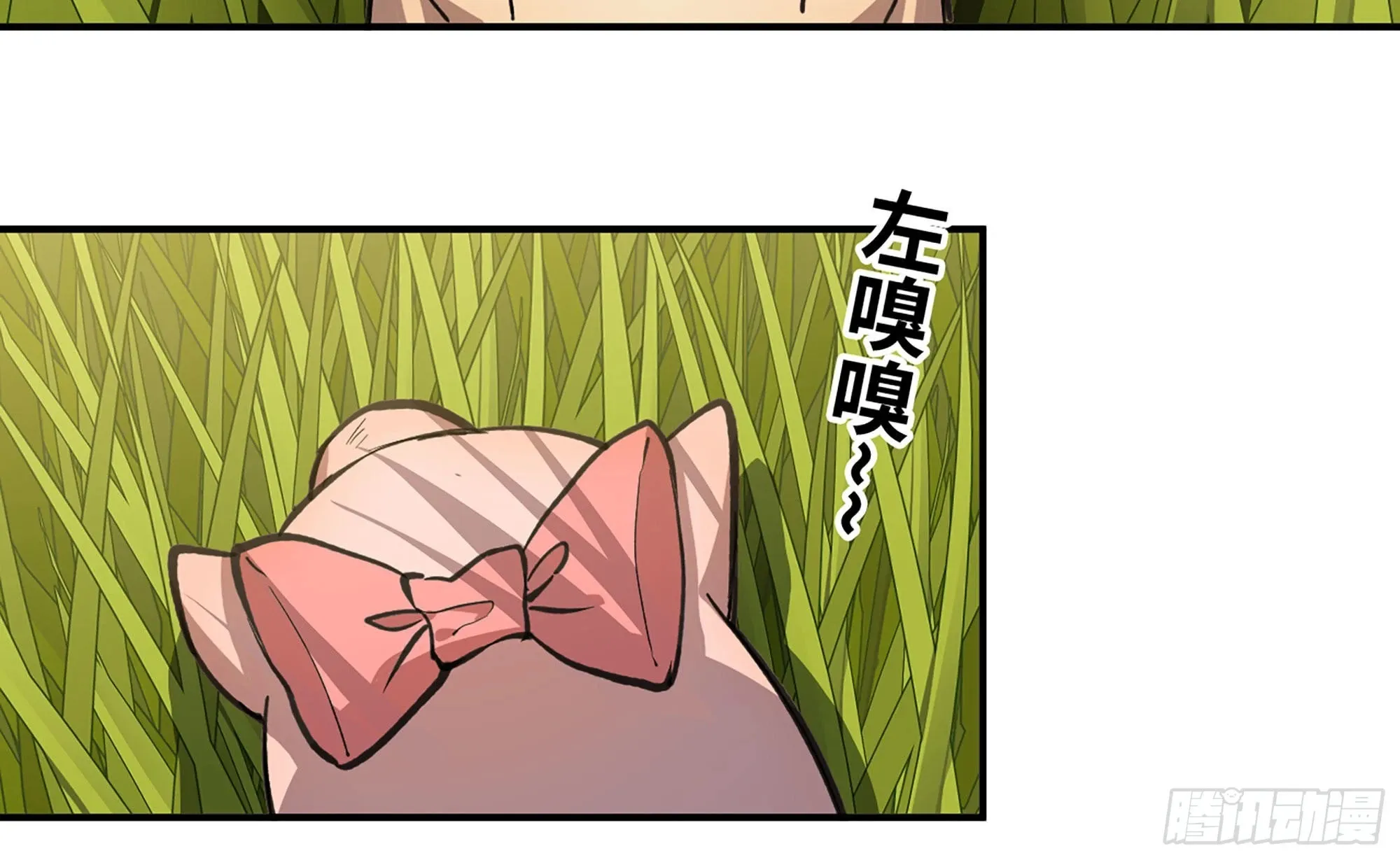 12- 野外 第3页