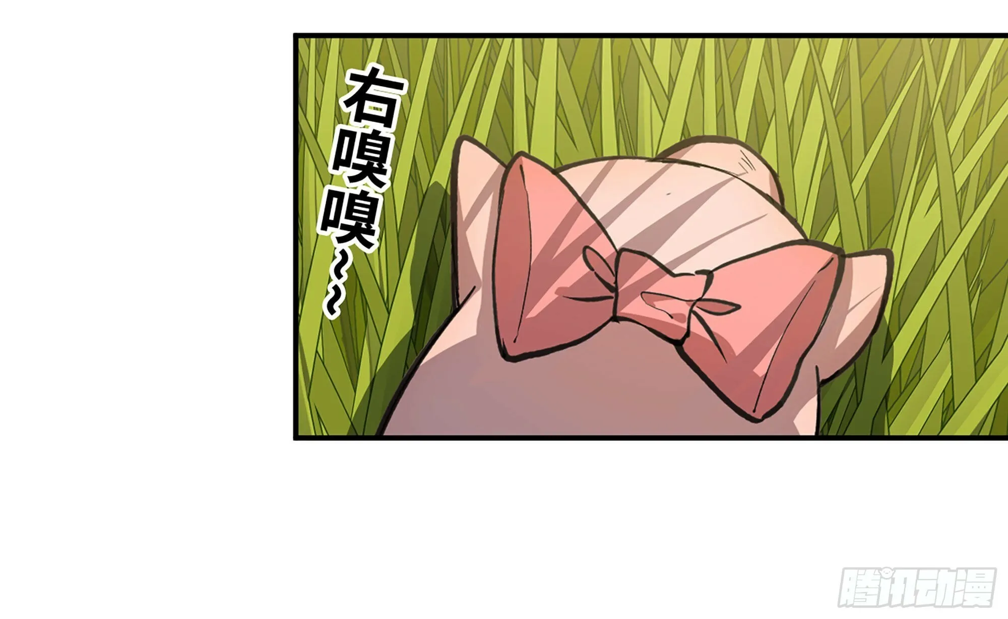 12- 野外 第4页
