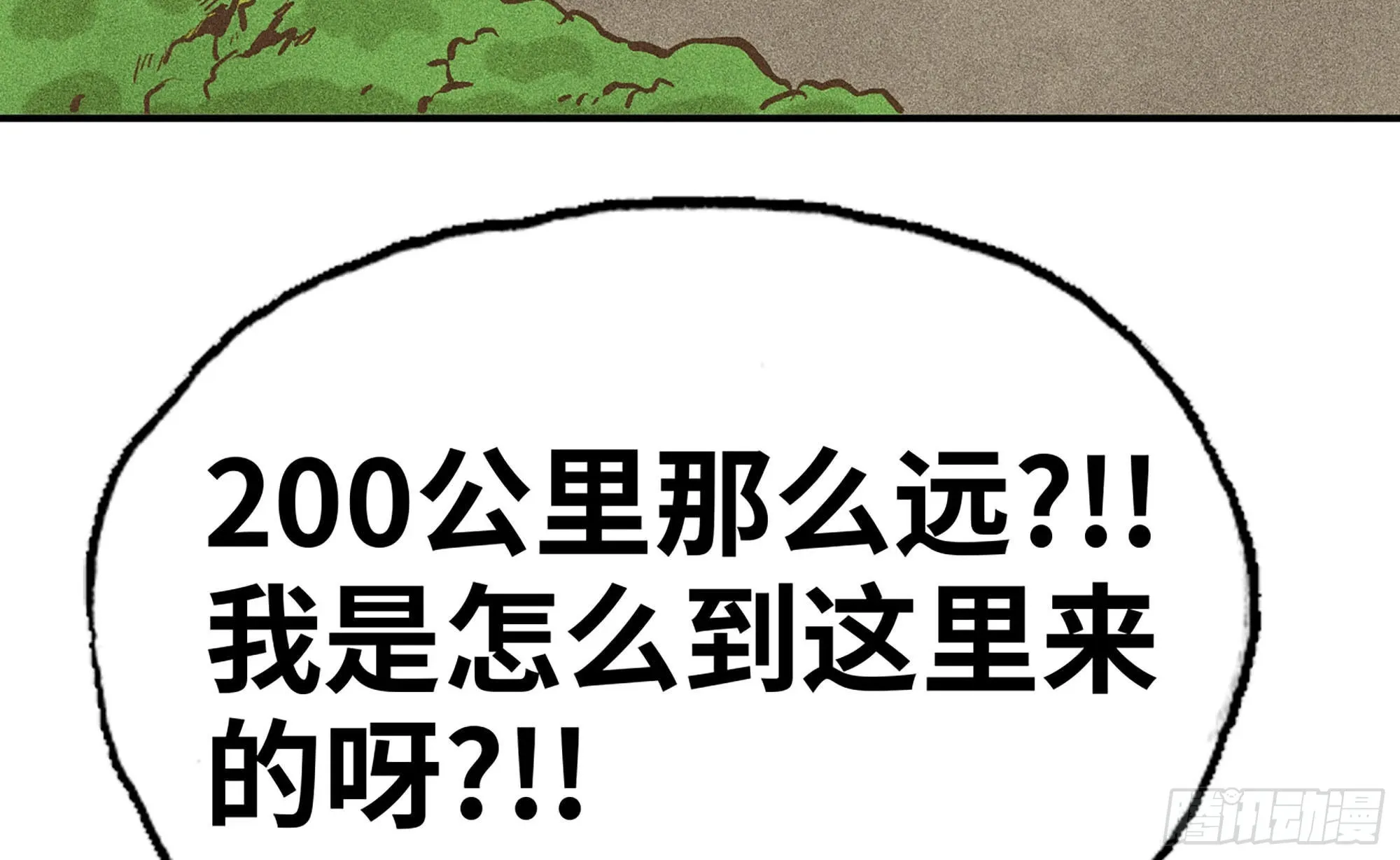 12- 野外 第13页