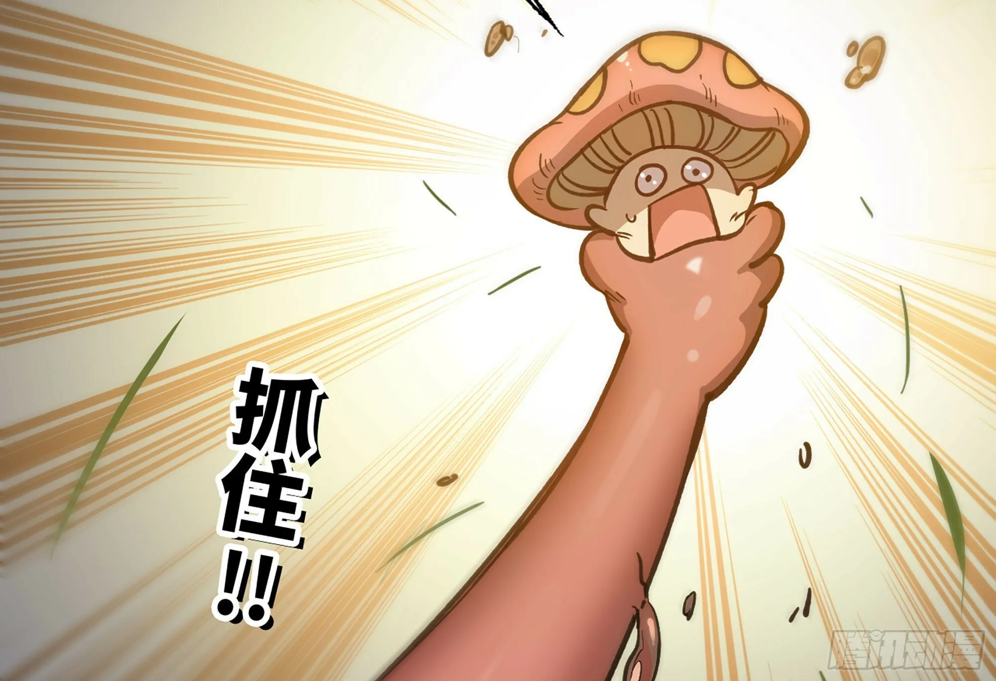 12- 野外 第64页