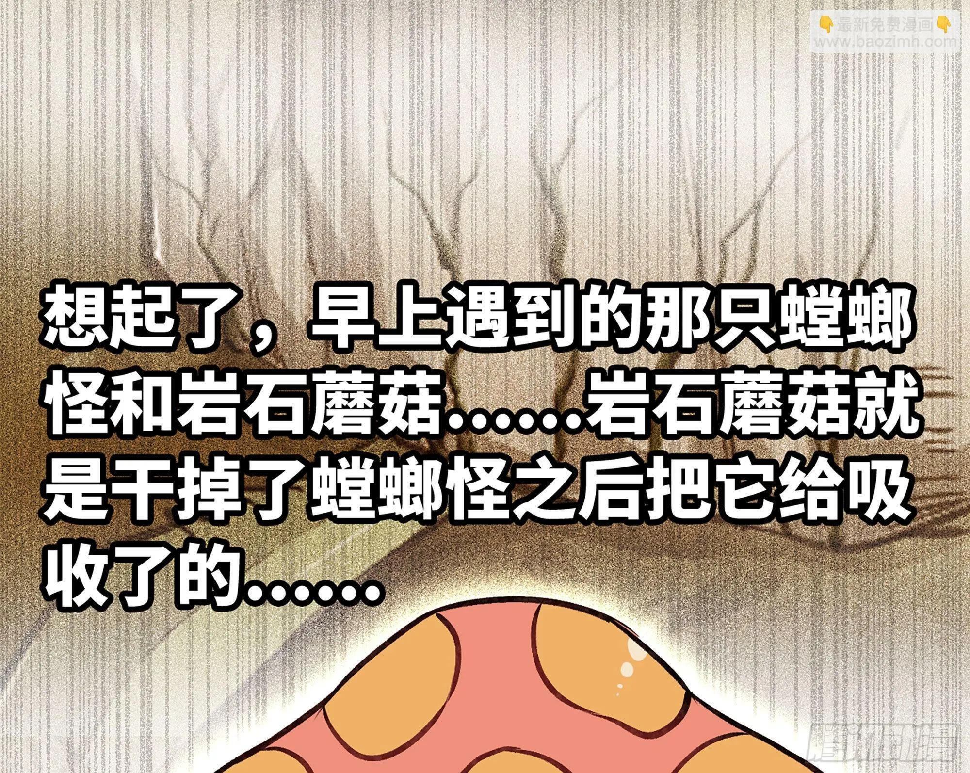 14- 分解吸收 第78页