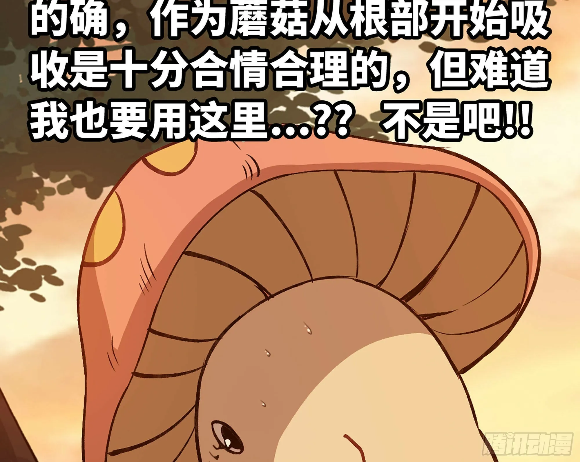 14- 分解吸收 第80页
