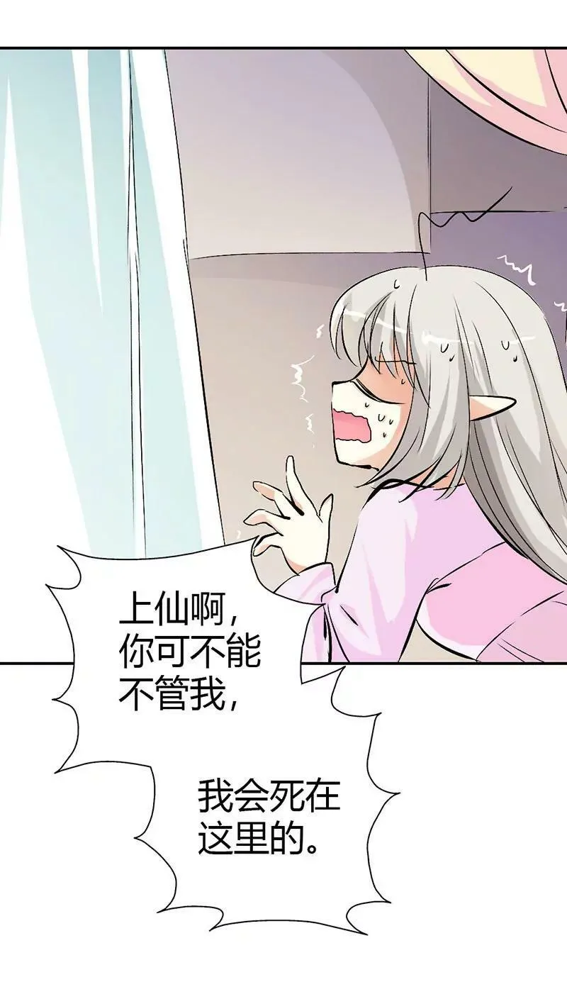 上仙是我的 第4页
