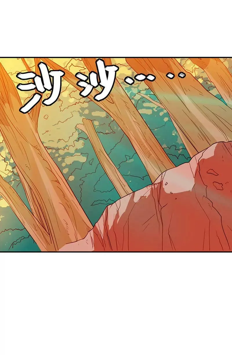 金色比翼鸟 第14页