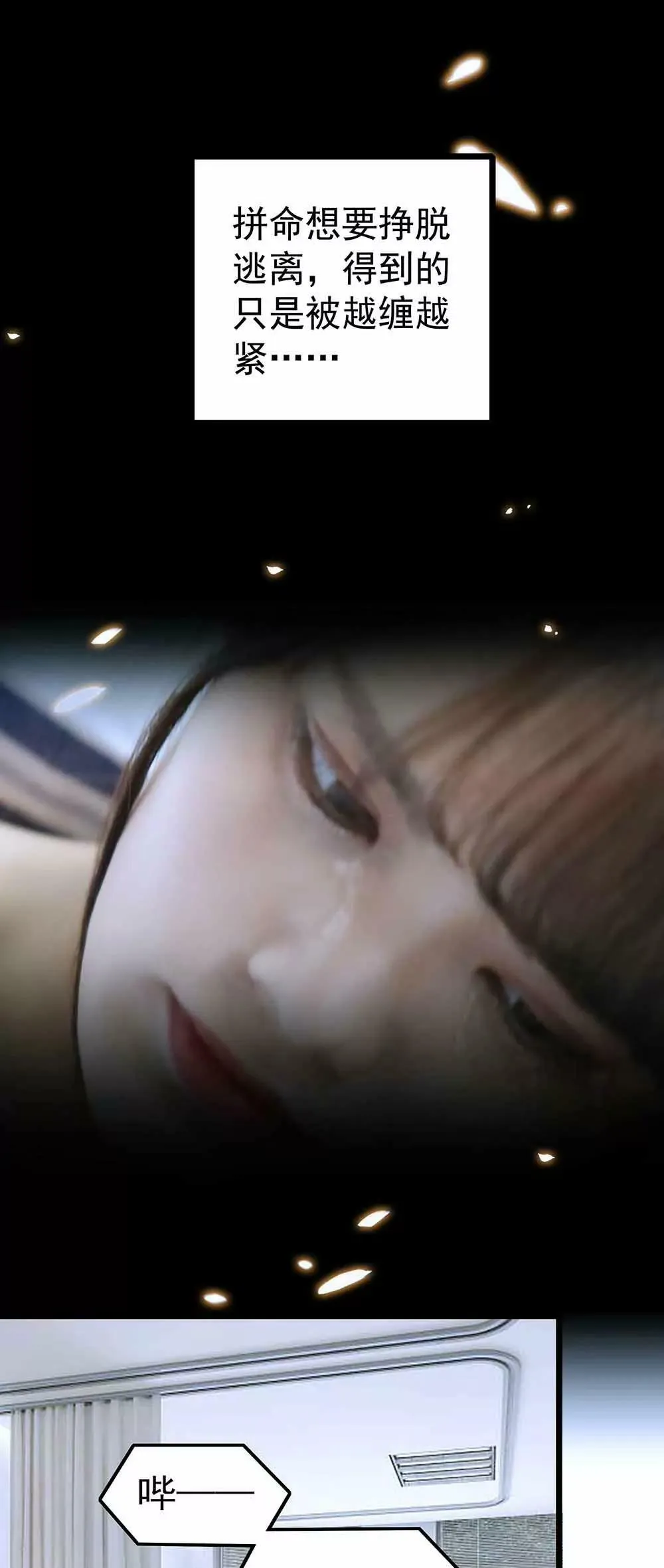 15 第5页