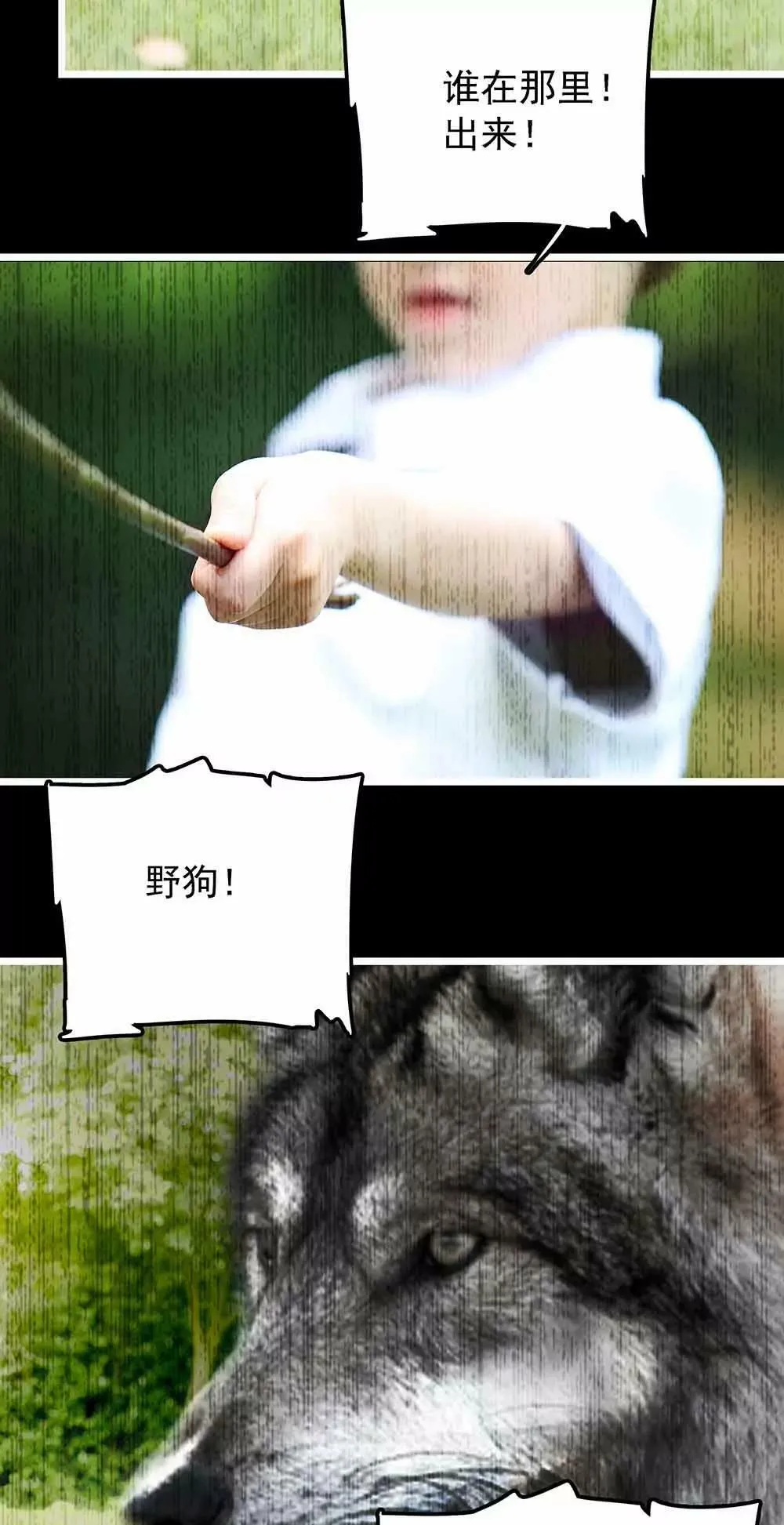 119 第3页