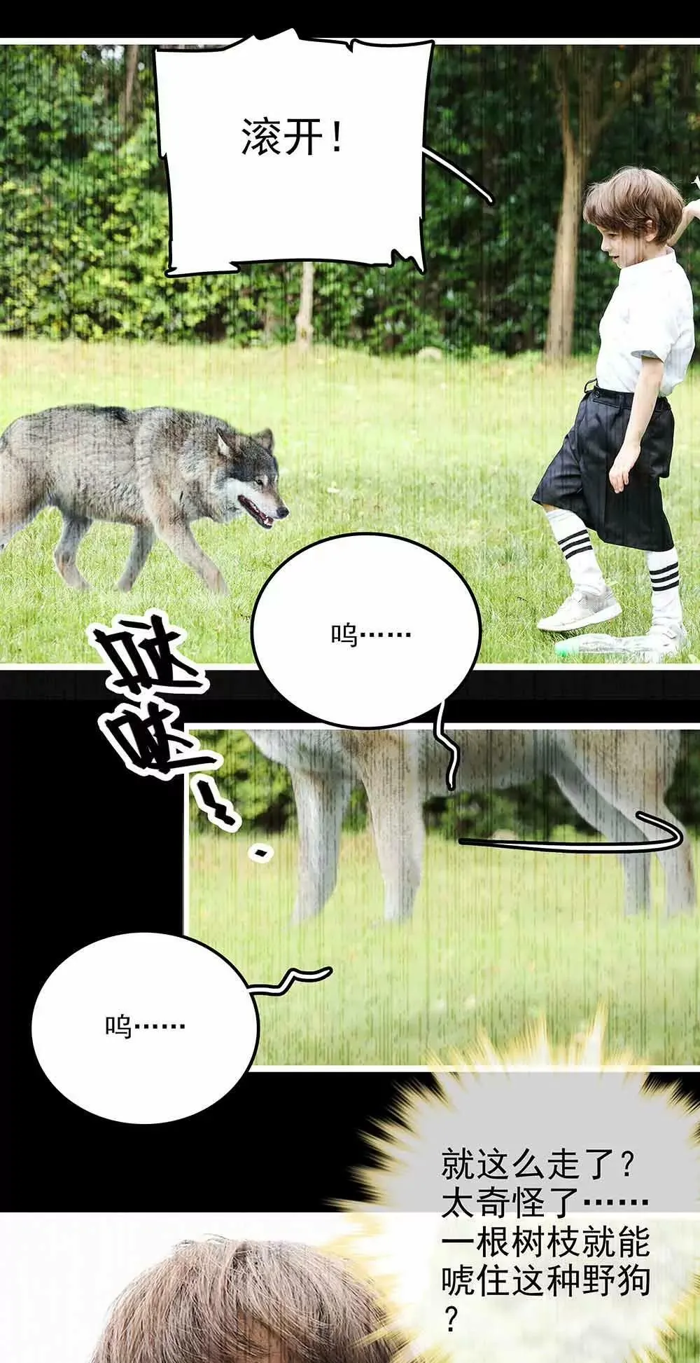 119 第5页