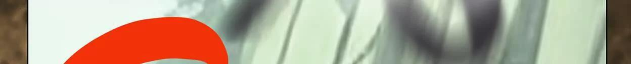 重量级登场3 第193页