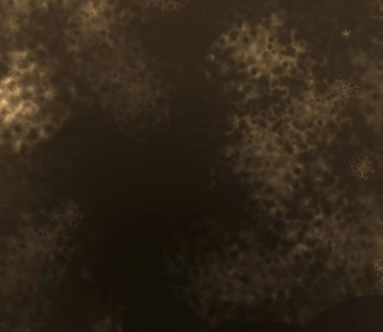 重量级登场3 第213页