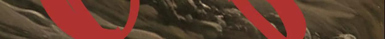 重量级登场3 第236页