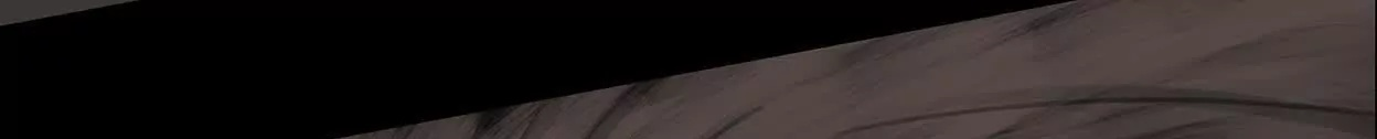 重量级登场3 第239页
