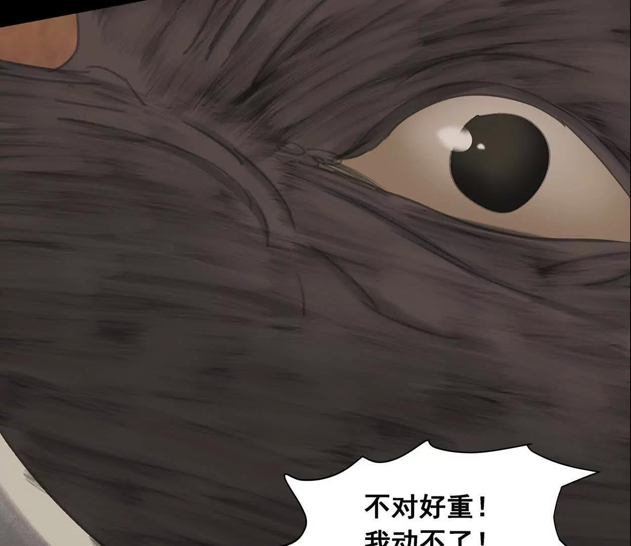 重量级登场3 第240页