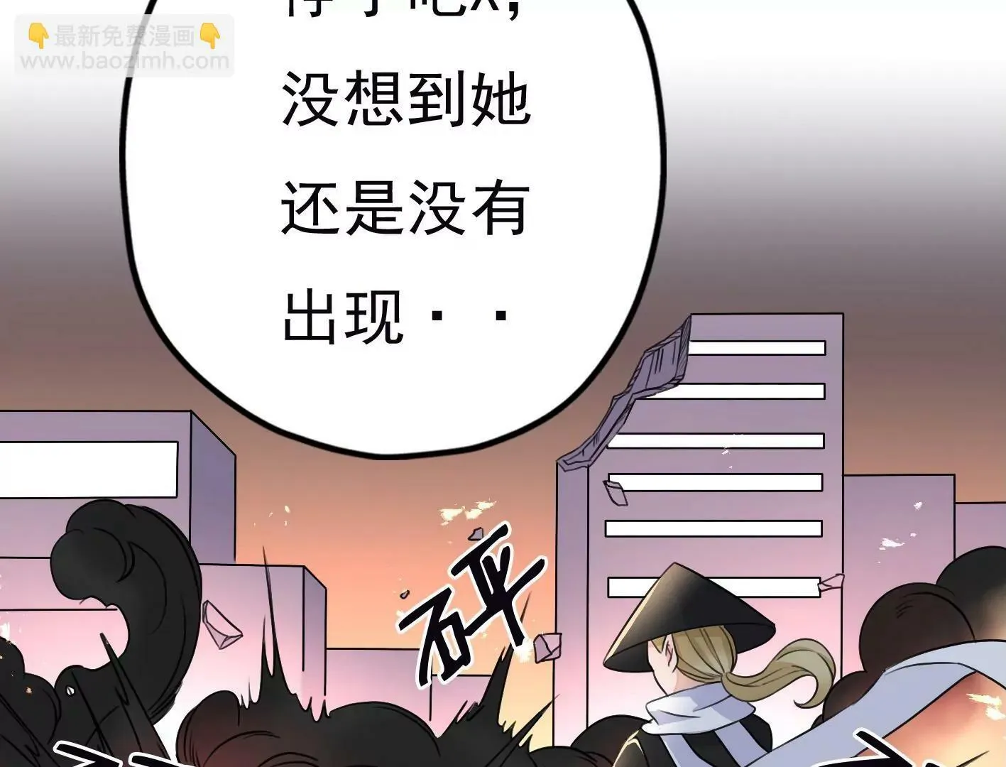 第二十四：全军覆没 第10页