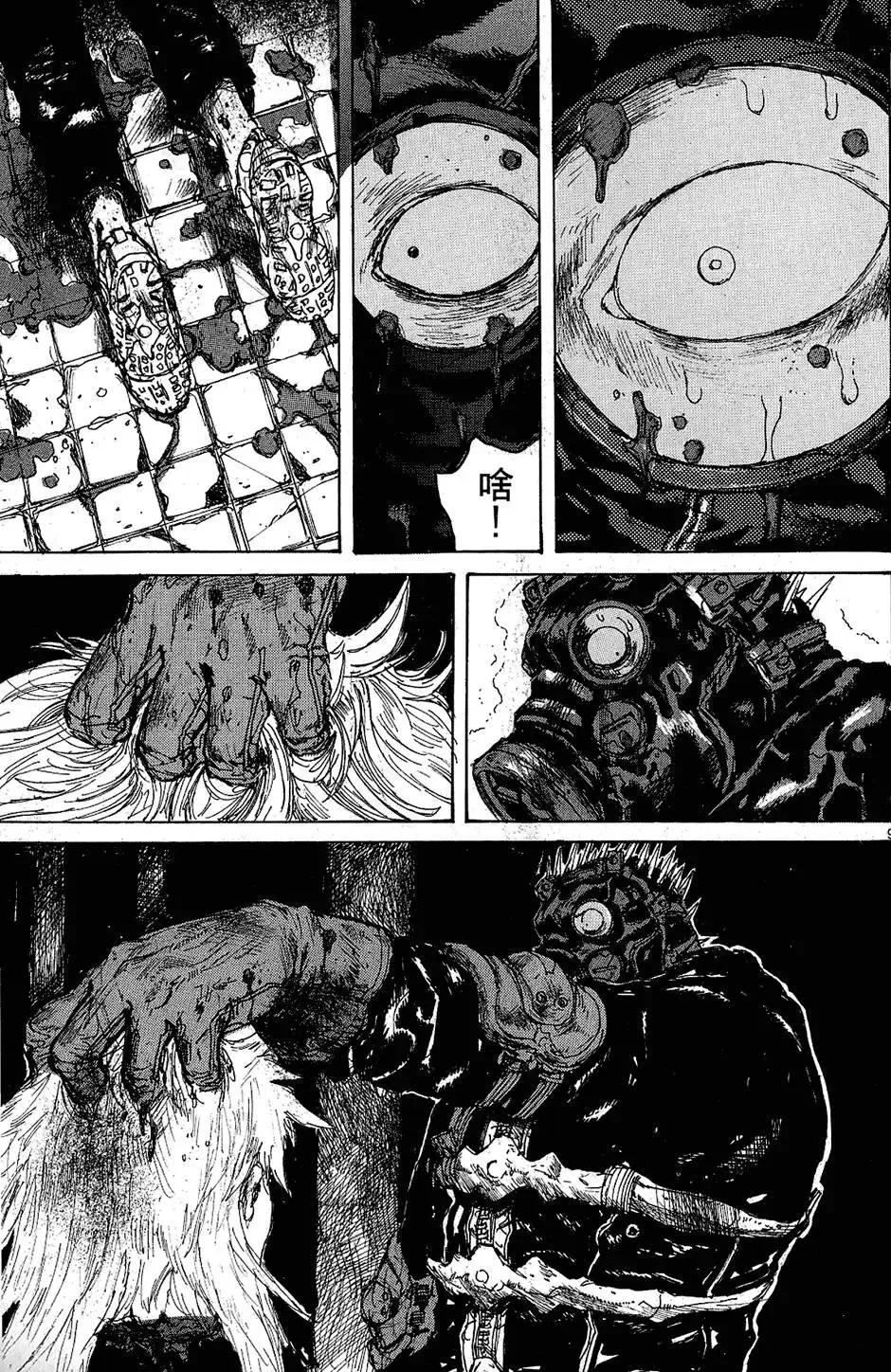 第11卷 第37页