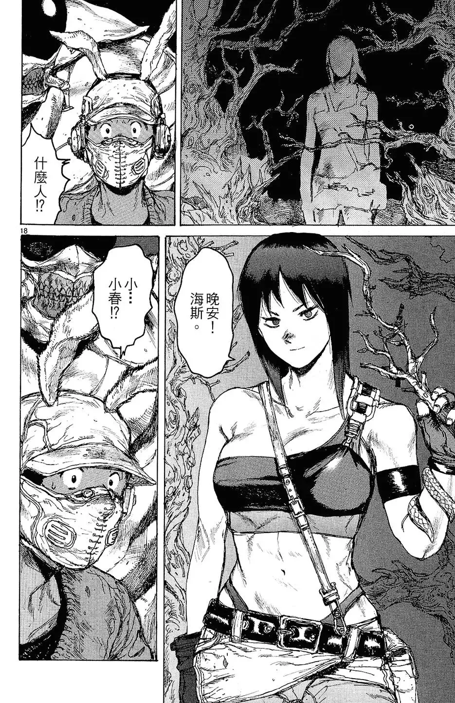 第12卷 第22页