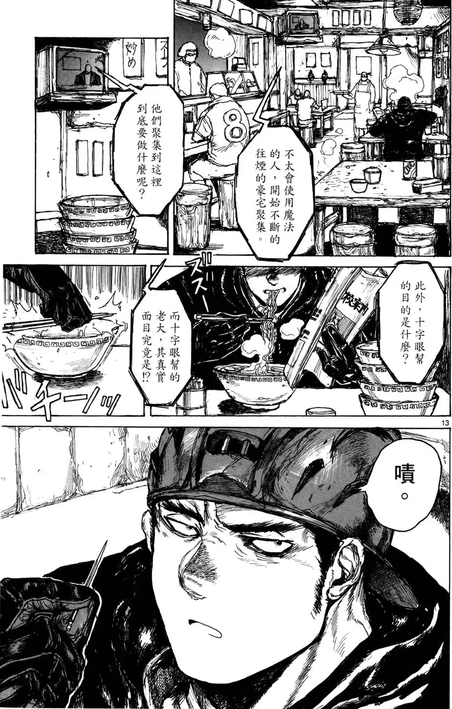 第13卷 第17页