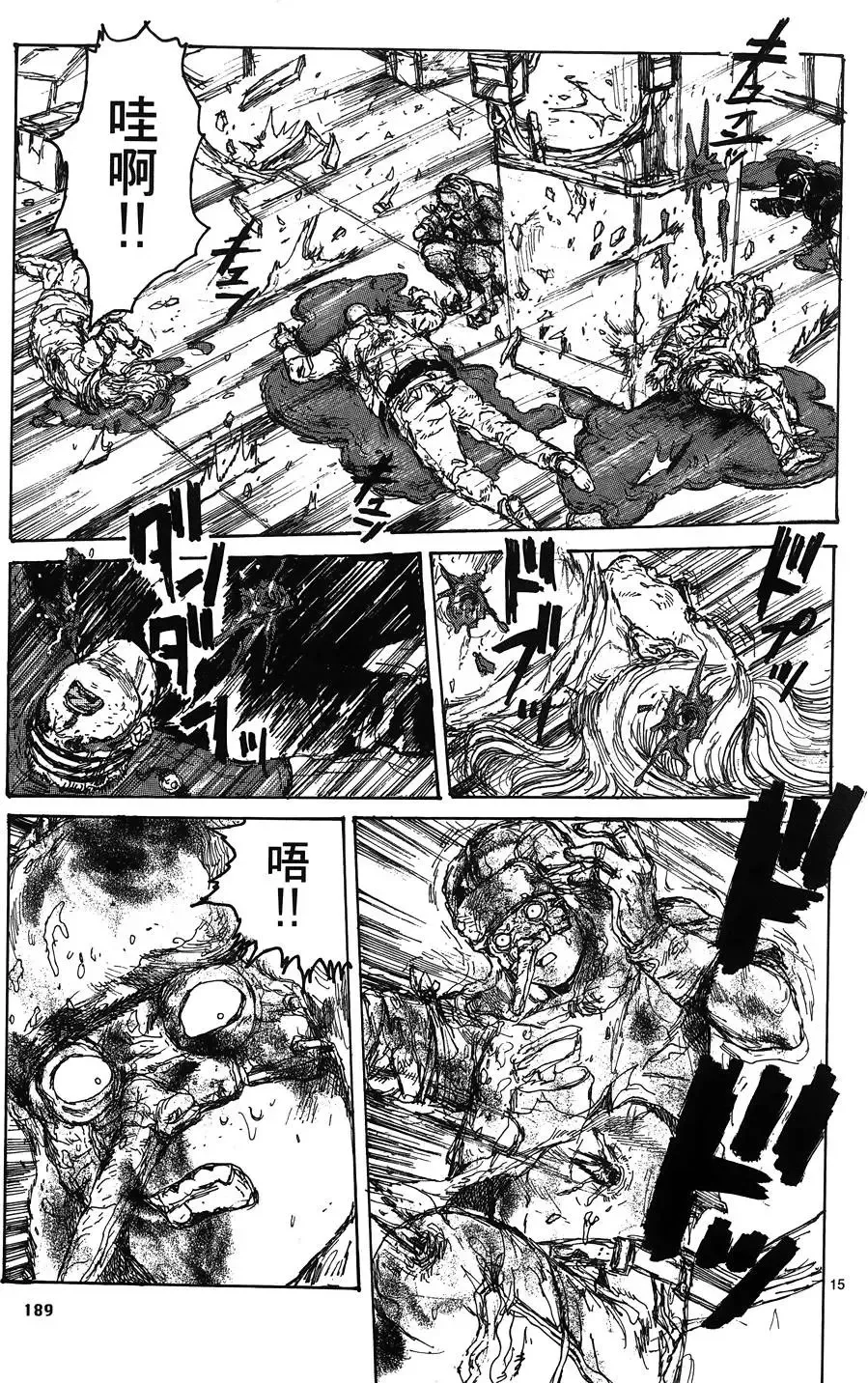 第16卷 第191页