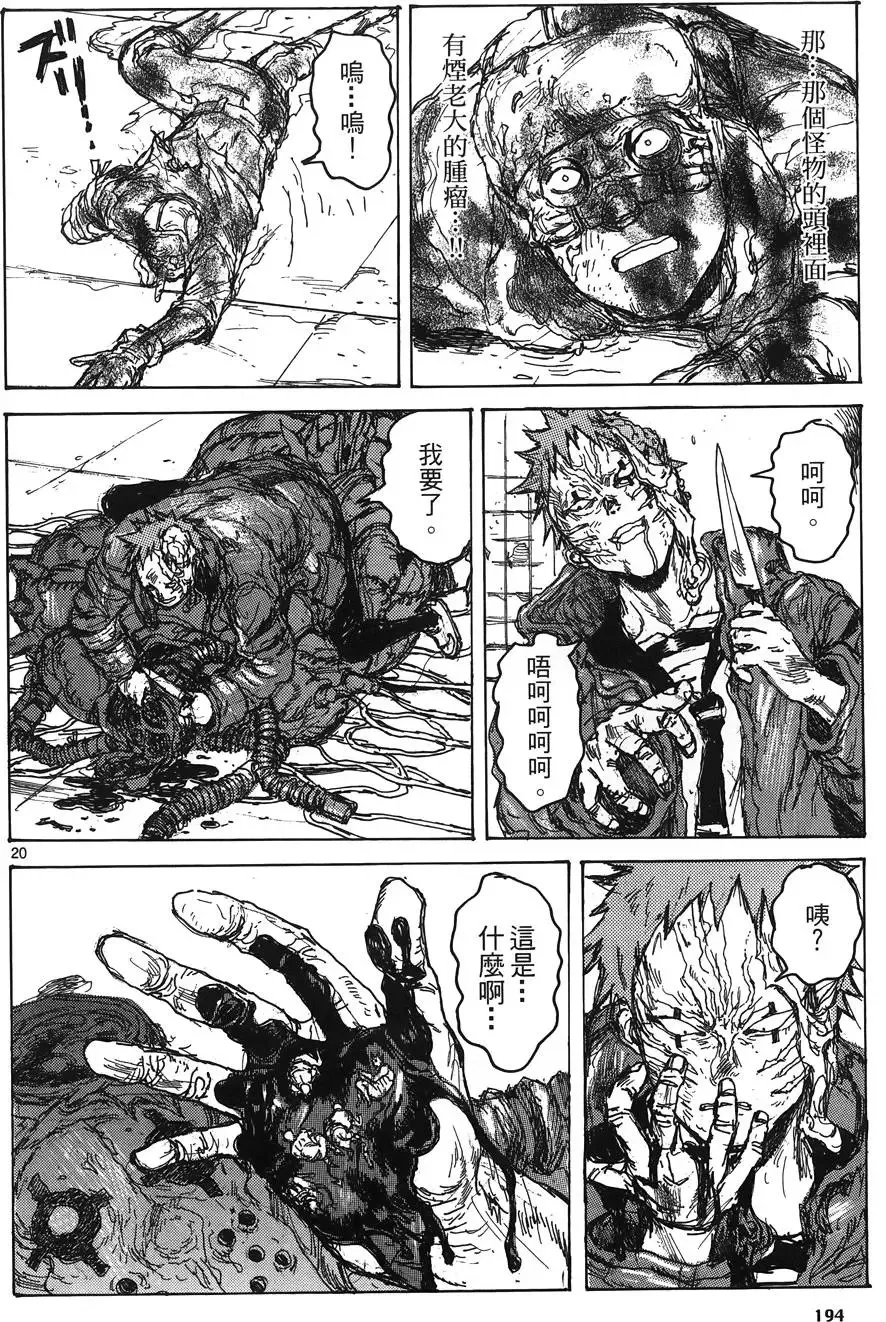第16卷 第196页
