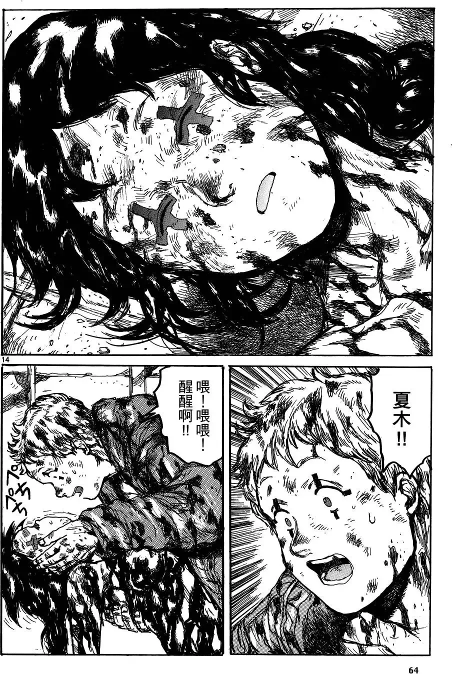 第17卷 第66页