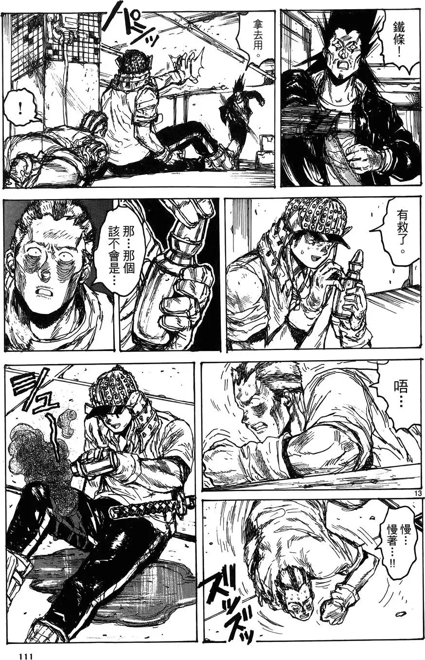 第17卷 第113页