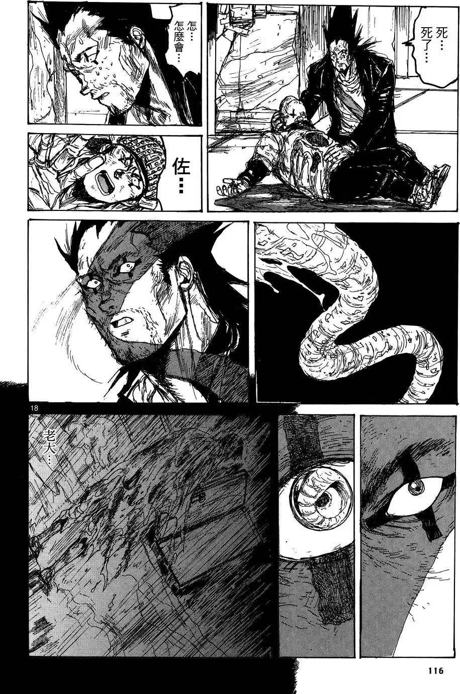 第17卷 第118页
