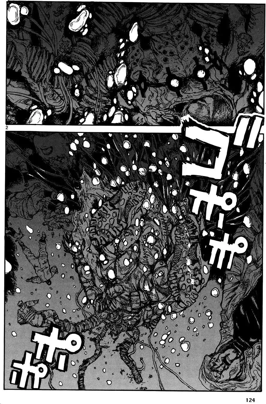 第17卷 第126页