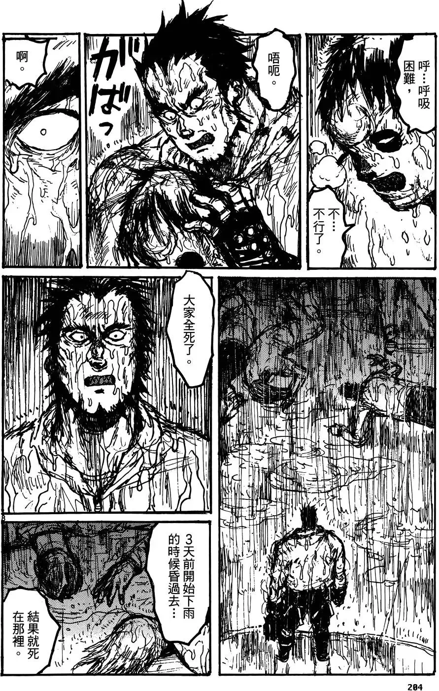 第17卷 第206页
