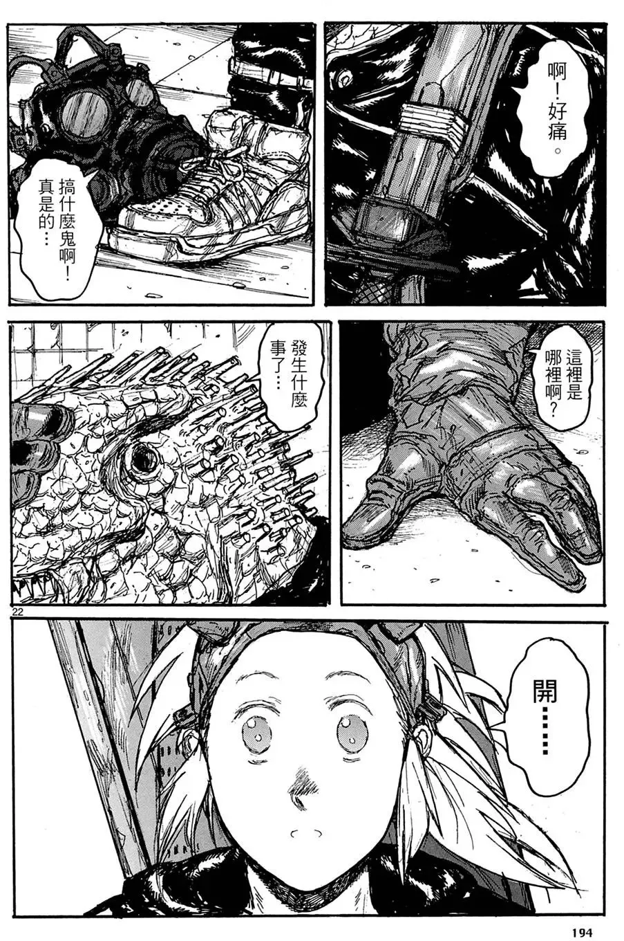 第18卷 第196页