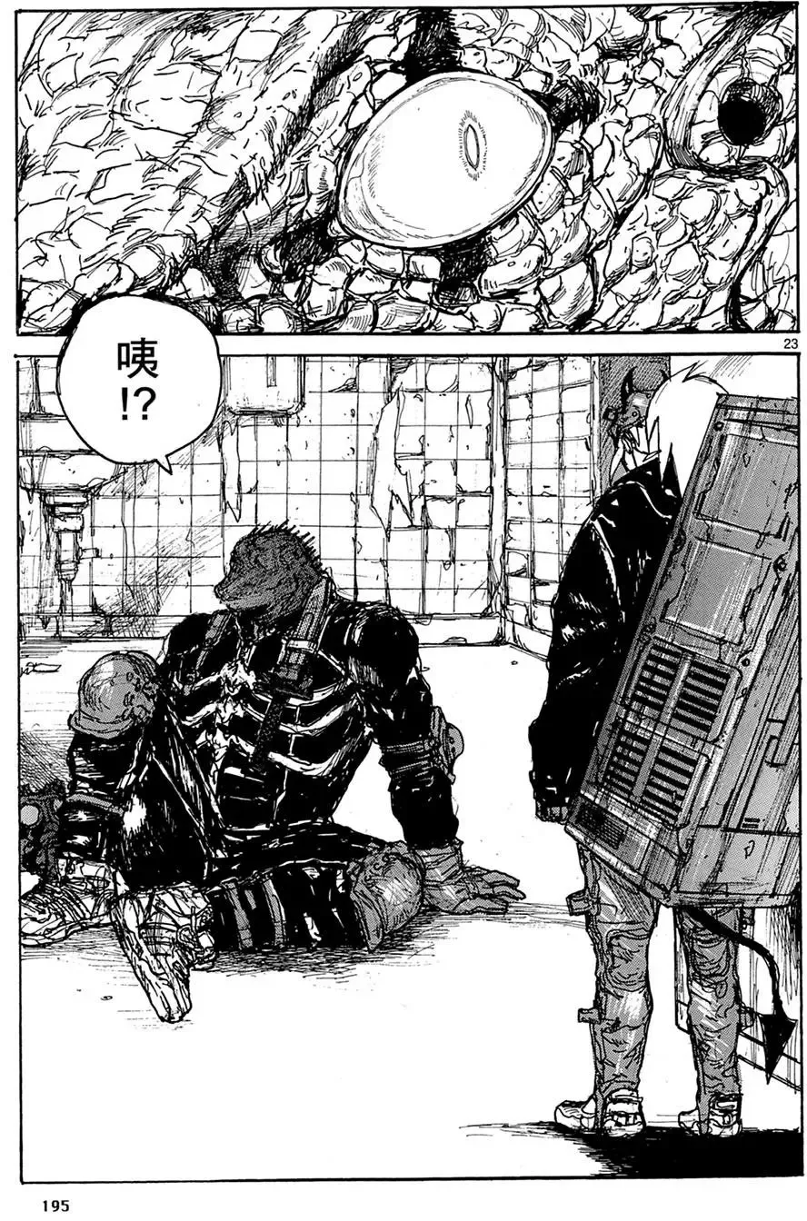 第18卷 第197页