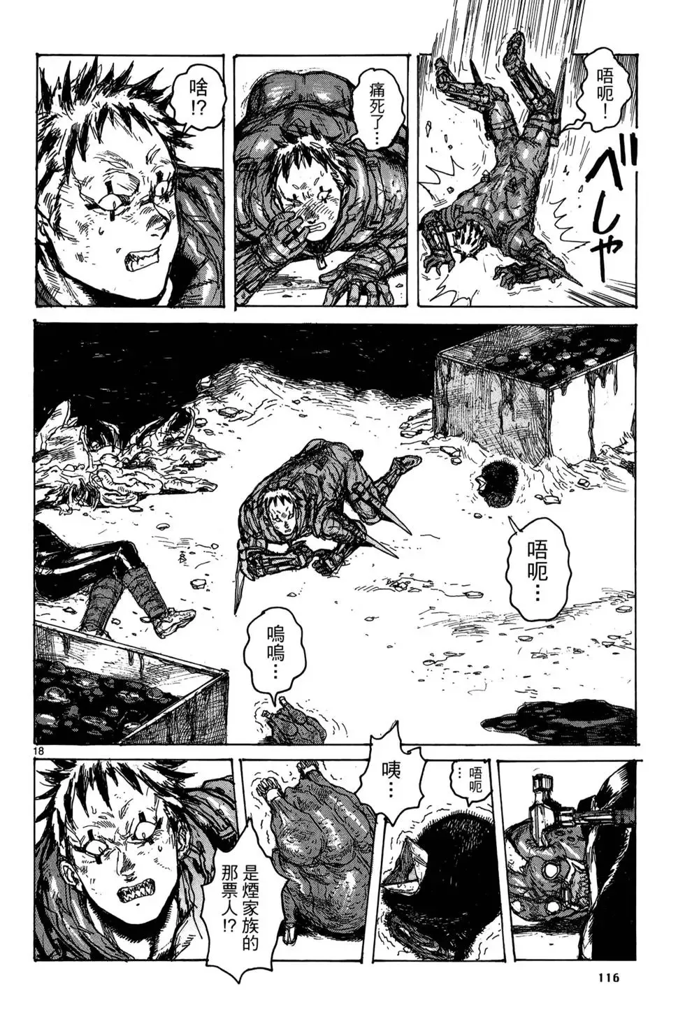 第19卷 第118页